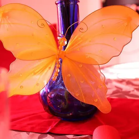 Lejlighed Cretan Dream Rethimno